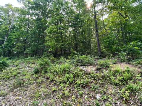 Lot 29 Katy Drive, White Sulphur Springs, WV 24986