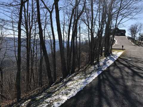 Lot 90 White Rock Trl,, Caldwell, WV 24925