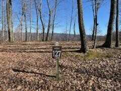 Lot 127 Withrow Lndg, The Reteat, Caldwell, WV 24925