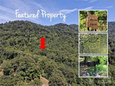 235 Erwin Lane, Waynesville, NC 28785