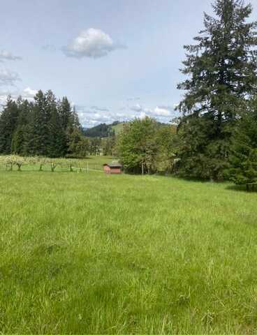TBD Lazy E 2022-P3066PCL 2 Way, Creswell, OR 97426