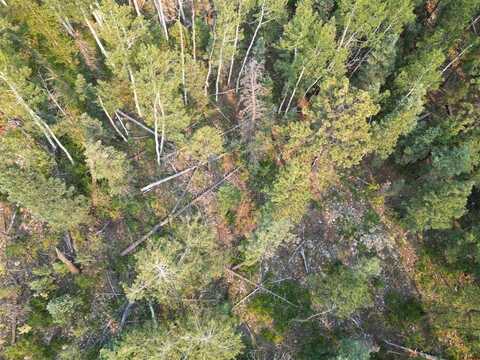 48 Ponderosa Way, Durango, CO 81301