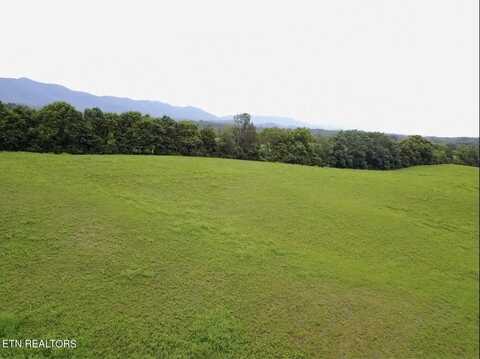 Lot 4r-2 Jeffries Hollow Rd, Walland, TN 37886