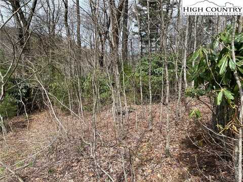 Lot 3 Cora's Path, Blowing Rock, NC 28605