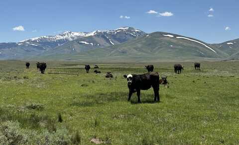 Wildhorse Ranch, Mountain City, NV 89831