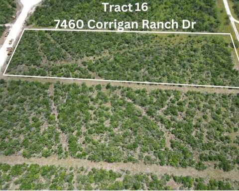 7450 Corrigan Ranch Drive- Tract 16, Skidmore, TX 78389