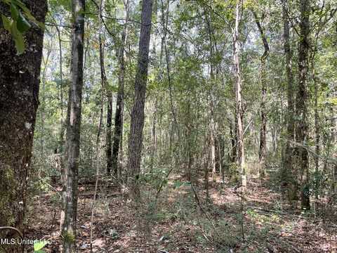 16509 Mcgregor Road, Vancleave, MS 39565