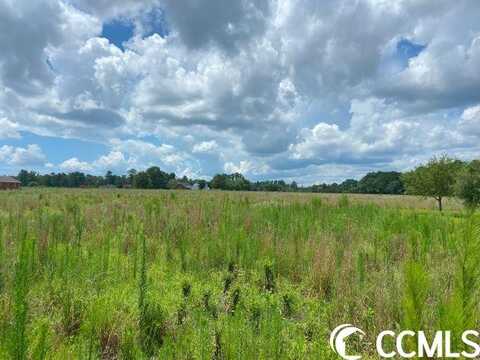 TBD Daisy Rd., Loris, SC 29569