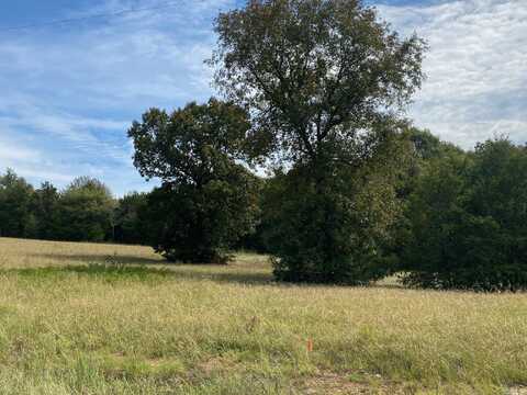 Lot 20 Castlepines Drive, Greenbrier, AR 72058