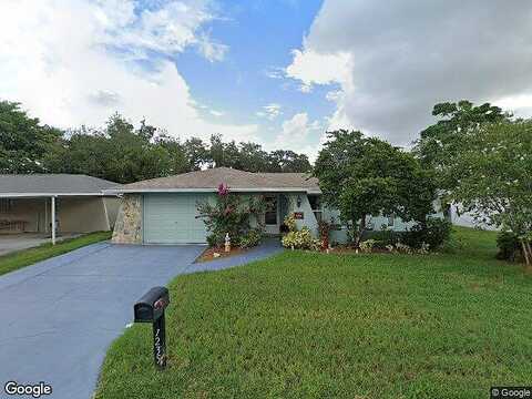 Stone, PORT RICHEY, FL 34668