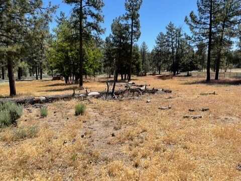 59777 Ca-74, Mountain Center, CA 92561