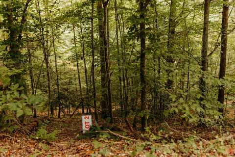 TBD Lot 4 Sandy Ridge Road, Campton, KY 41301