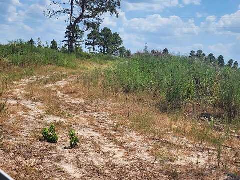 Tbd County Road 1762, TRACT 5, 8.5 ACRES, Jefferson, TX 75563