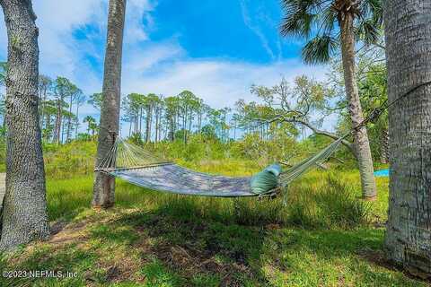 Green Heron, JACKSONVILLE BEACH, FL 32250