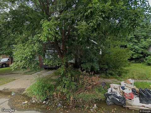 Mendota, DETROIT, MI 48204