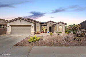 Narrowleaf, GILBERT, AZ 85298