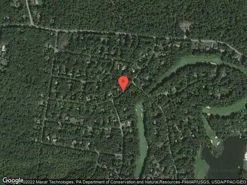 Long Woods, TOBYHANNA, PA 18466