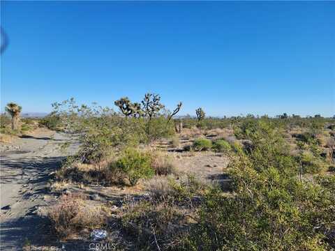 0 Buckwheat Road, Pinon Hills, CA 92372