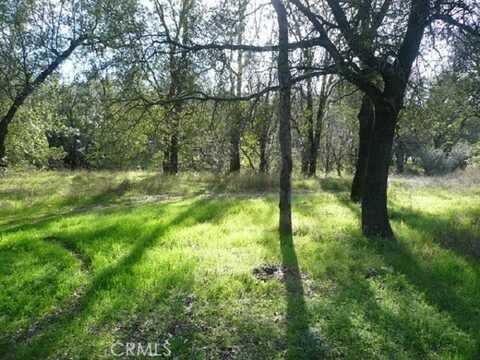 17040 Davis Garden Drive, Cottonwood, CA 96022