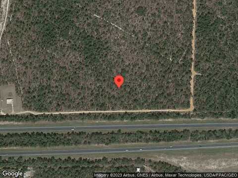 Limpkin, CRESTVIEW, FL 32539