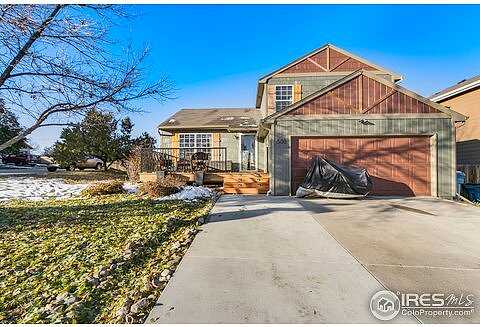 Mockorange, FORT COLLINS, CO 80524