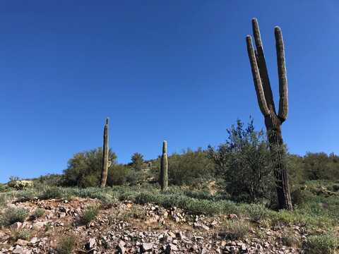 3863 S AVENIDA DE ANGELES --, Gold Canyon, AZ 85118