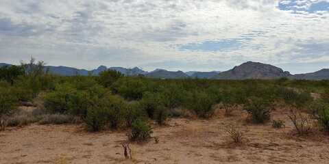 40 Ac E Whitaker --, Douglas, AZ 85607