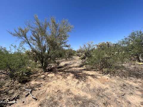 15091 W Many Horses Road, Tucson, AZ 85736