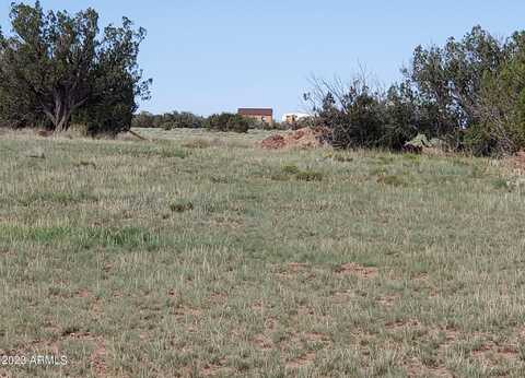 0 N 6707 --, Saint Johns, AZ 85936