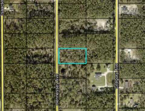 10260 HENNESSEY AVENUE, HASTINGS, FL 32145