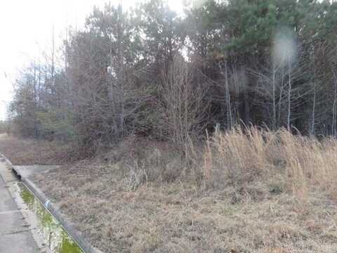 000 Dunwood Drive, Clarksville, AR 72830