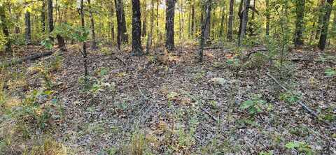 L-1, B-2 Nokona Trace, Cherokee Village, AR 72529