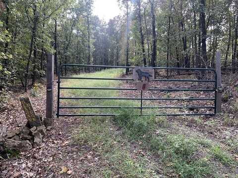 46 Simmons Road, Magazine, AR 72943