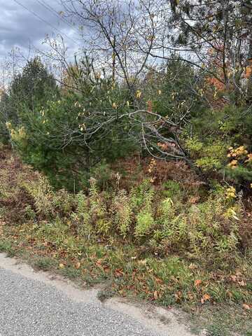 Lot 15 Sherry Lynn Drive, Engadine, MI 49827