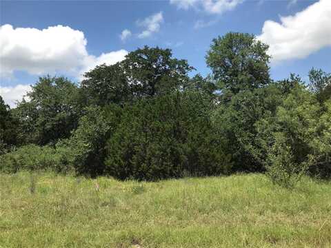 1190 N Lakeview Drive, Palo Pinto, TX 76484