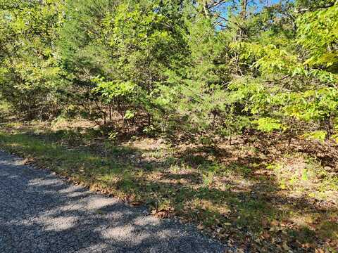 Lot 68 North Millwood, Shell Knob, MO 65747