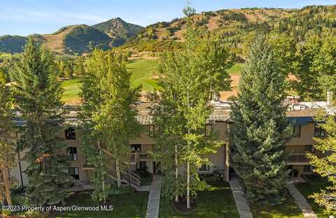 39060 Colorado Highway 82, Aspen, CO 81611