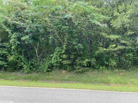 0 Wild Avenue, Evergreen, AL 36401