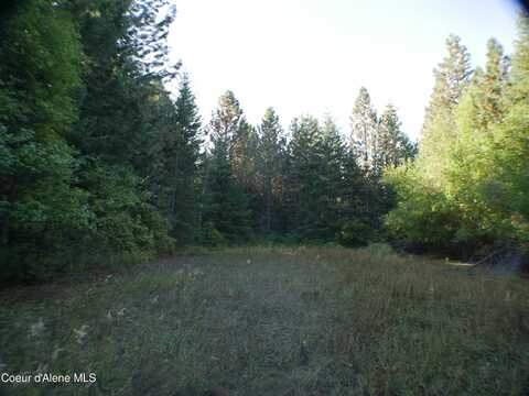 Parcel 2 Mutch Creek Road, Saint Maries, ID 83861