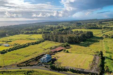 29-627 Chin Chuck Road, Hakalau, HI 96710