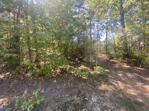 LOT 459 VANTAGE, Counce, TN 38326