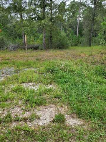 0 Roberts Road, Chunchula, AL 36521