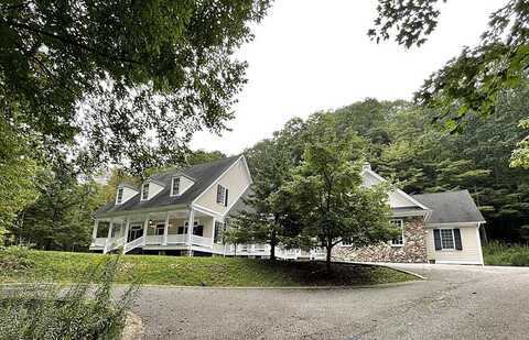 979 Hawthorne Valley Rd, Snowshoe, WV 26209