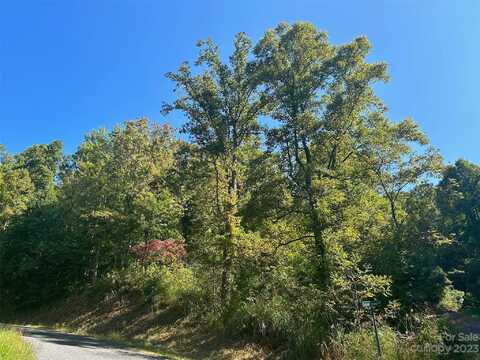 85 Locust Grove Lane, Weaverville, NC 28787