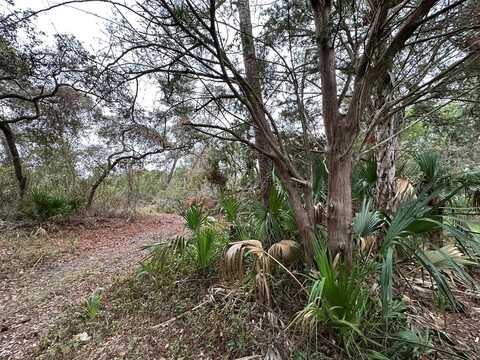 5 Lots Ingleside Pl, Cedar Key, FL 32625