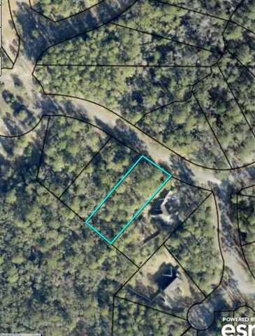 Lot 3 B Sanderling Trail, Waverly, GA 31565