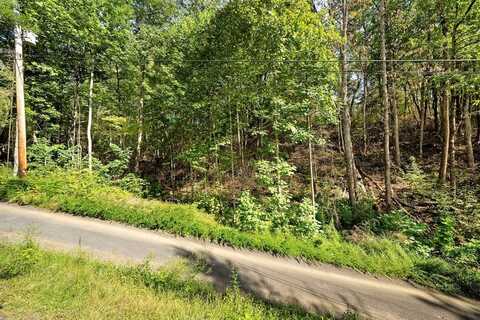 1272 Raymond Hollow Road, Gatlinburg, TN 37876