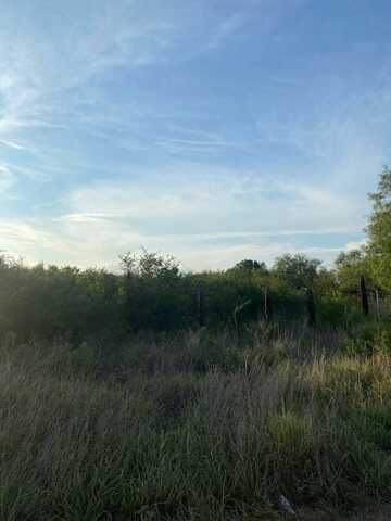 0 Lot 44 CR 122, Alice, TX 78332