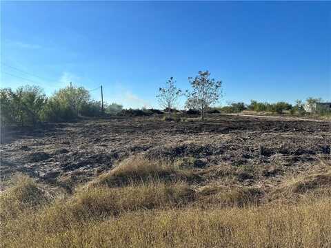 277 County Road 3033, Orange Grove, TX 78372