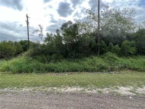 231 County Road 3571, Sandia, TX 78383